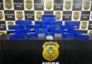 PCGO desativa apartamento usado como depósito de drogas e apreende grande quantidade de maconha