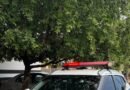 PCGO prende investigado por perseguição e ameaças no contexto de violência doméstica em Santa Terezinha de Goiás