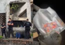 Operação mira grupo que enviava “drogas gourmetizadas” da Bahia para Goiás pelos Correios